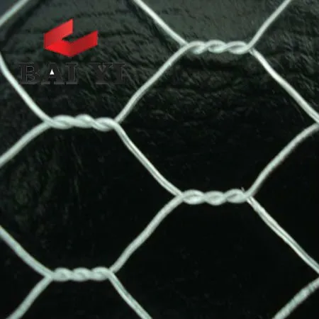 Reverse Twist Hexagonal Wire Mesh 10mm