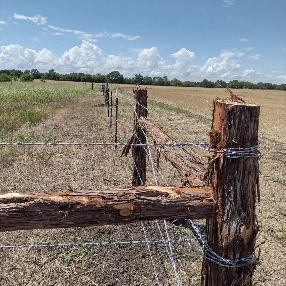 Galvanized Pvc Barbed Wire 15