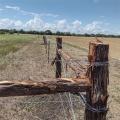 Fence a filo spinato zincato a caldo