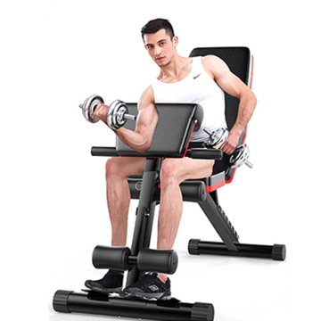 Popular OEM Factory Home Gym Equipment: Focus on Workout Benches and Dumbbells