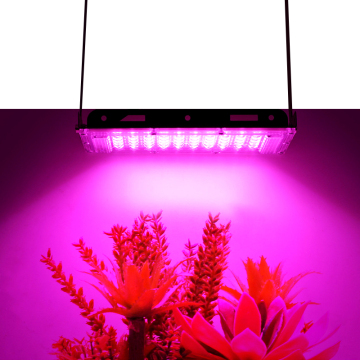 Top Selling Nalite N10 IP65 Waterproof 300W LED Grow Light (Blue, Red, White)