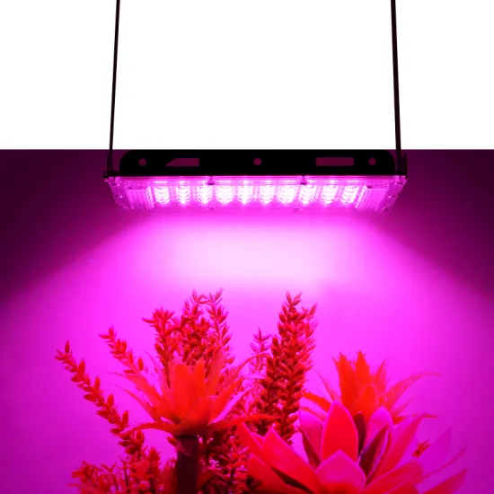 Top Selling Nalite N10 IP65 Waterproof 300W LED Grow Light (Blue, Red, White)