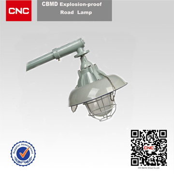 Explosion-Proof Road Lamp (CBMD)