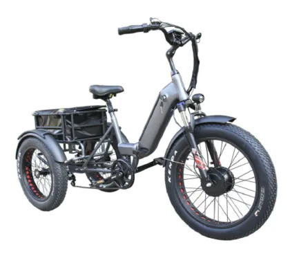 500W Electric Tricycle - OEM Aluminum Frame Fat Tire Pedicab for Family Use
