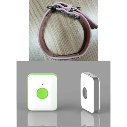 Small Dog GPS Tracker