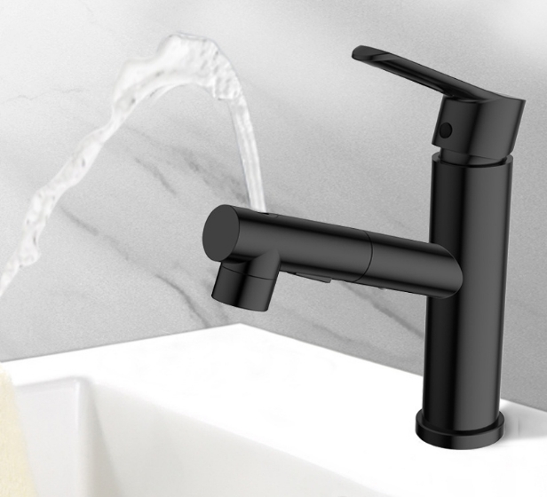 Pull Out Stainless Steel Basin Faucet