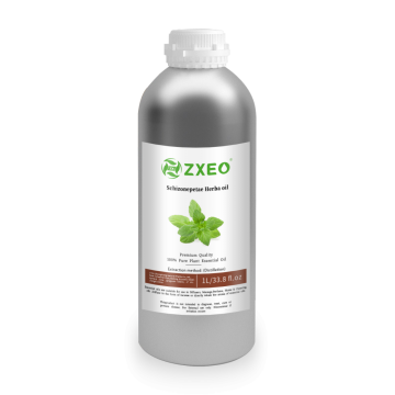 Alta qualidade 100% Pure Schizonepeta Oil Natural Nepeta Catária Oil