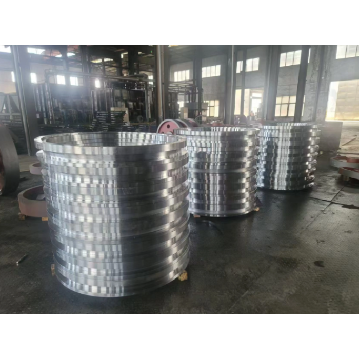 Anneaux en acier inoxydable personnalisés / produits forgés