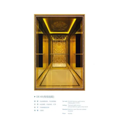 Luxury Brand of Passenger Lift Elevator Price