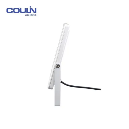 Professional Manufacturer 3000 Lumens Led Light