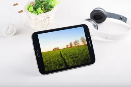 Hot sell Samsung panel computer Samsung phones ipad