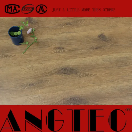 HDF Laminate Wood Flooring Germany Technology