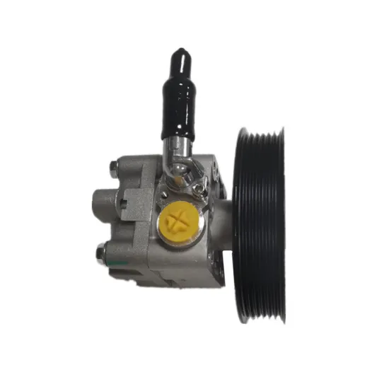 OEM 49110-8H305 Power Steering Pump for T30 J31 QR25