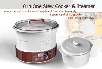 electric ceramic stew pot DDZ-40BX