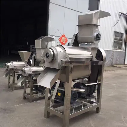 1 KW Commercial Cashew Juice Extractor: Cold Pressed Carrot Aloe Vera Juice Making Machine