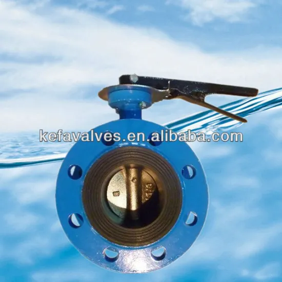 Double flange butterfly valve with pin