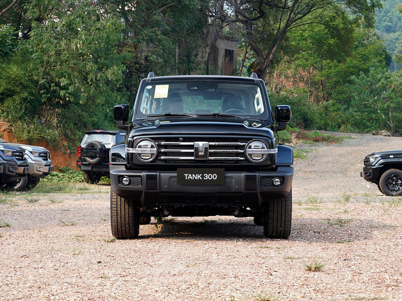Hot sells Tank 300 Dark Grey 4WD SUV