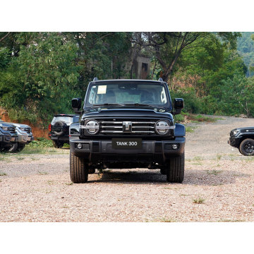 Hot sells Tank 300 Dark Grey 4WD SUV