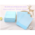 Thơm Puppy Dog Đào tạo nước tiểu PEE Pad