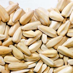 Семена Подсолнечника Купить Казахстан