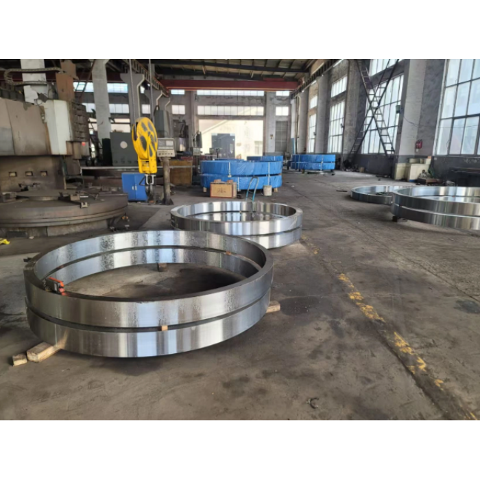 Anneaux en acier inoxydable personnalisés / produits forgés