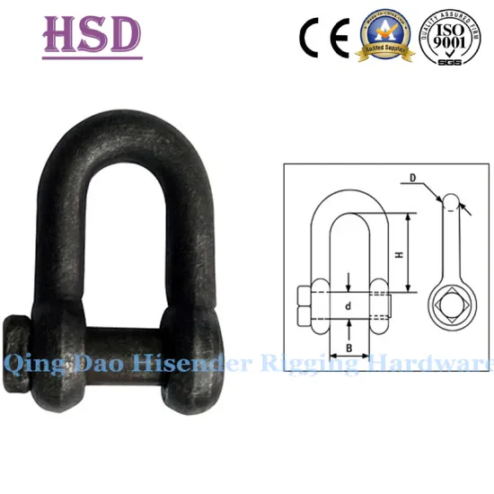 Us Type Trawling D Shackle, Fastener, Hardware, Rigging, Marine Shackle, Anchor Shckle, European D Type, JIS D Type Trawling Shackle