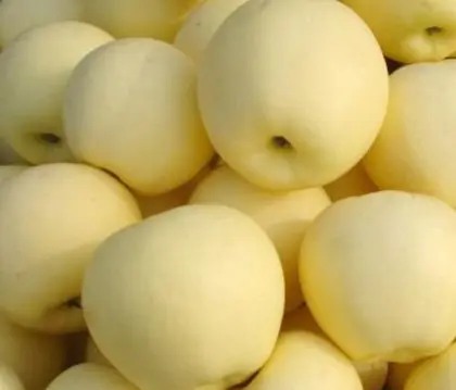 delicoisou Chinese golden apple