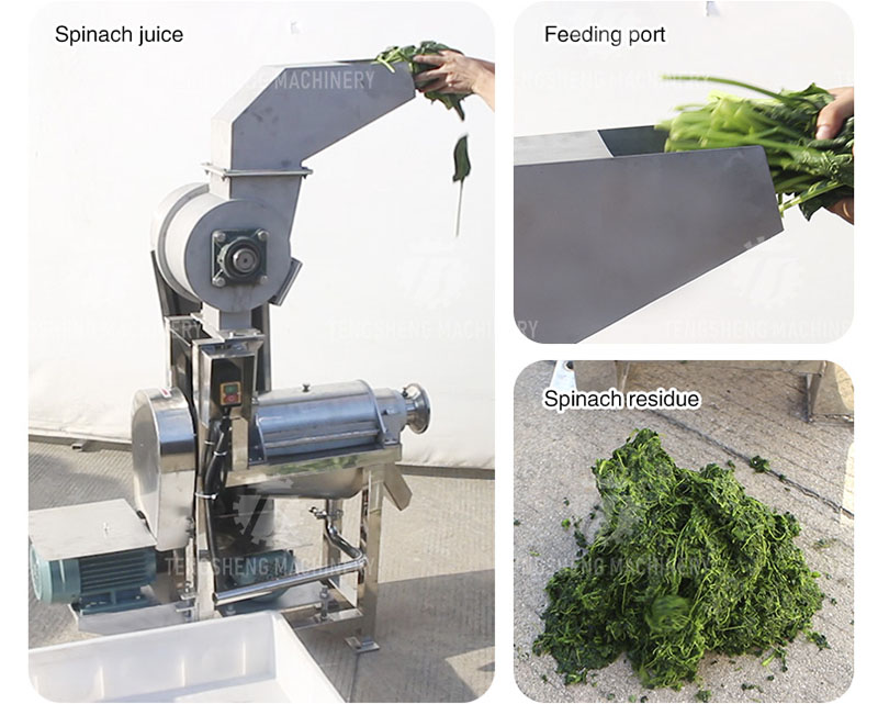 industrial cold press juicer