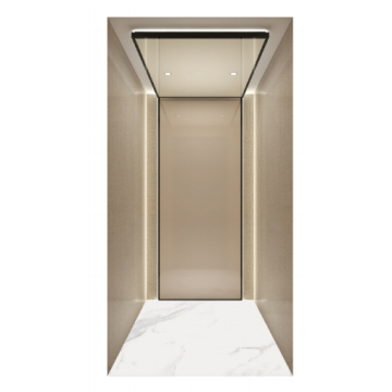 Champagne gold traction villa elevator