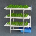 NFT System Skyplant Крытый тепличный гидропонный стеллаж