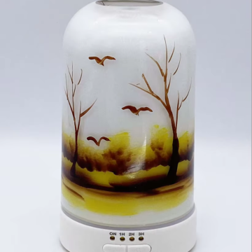 2024 OEM ODM Custom ätherisches Ölbefeuchter mit LED -Lichtdiffusor