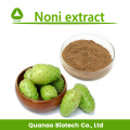 Noni-extractpoeder Noni Fruit