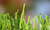 Mighty Extrusion monofilamentturf artificial turf grass