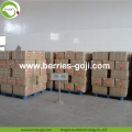 Factory Wholesale A Grade Fruit Wolfberries