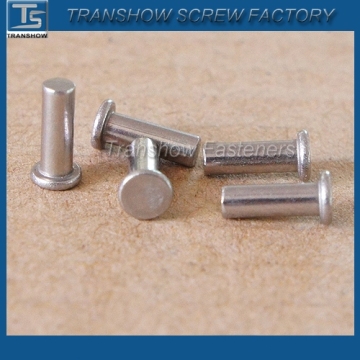 stainless steel flat head rivet