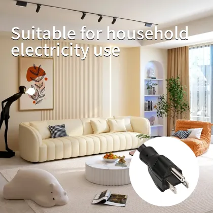 Finding the Right Plug for Household Electricity: XN515P-MK