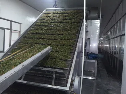 Special  Kelp / seaweed dryer