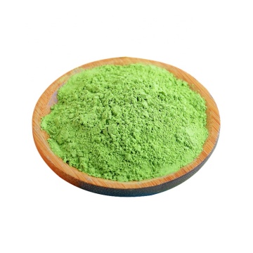 Vegatable juice powder broccoli juice powder