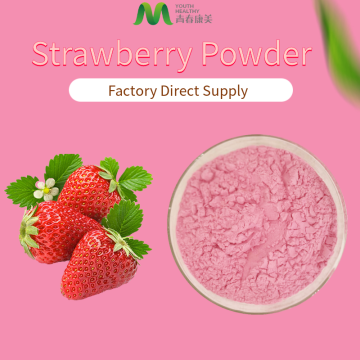 Red Strawberry Juice Powder Bulk Price