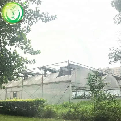 Top Quality Inflatable Green Houses For Agriculture