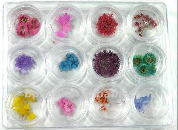 Real Flower Set for Nail Art