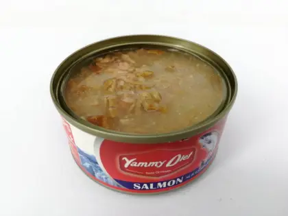 Salmon&Chicken Mousse Wet Food