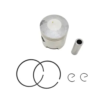 Professional Factory Outboard Parts 61N-11631-00-95 T30 Piston Kit Ring Set 72MM for Yamaha 25HP/30HP