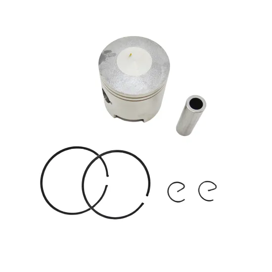 Professional Factory Outboard Parts 61N-11631-00-95 T30 Piston Kit Ring Set 72MM for Yamaha 25HP/30HP