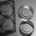 Placa de cultura de células com fundo de vidro de 20 mm