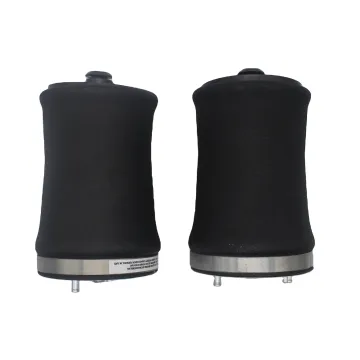 Air Suspension Springs Rear Left Air Bellow 37121095579 37121095580 for BMW X5 E53" 

However, if you're looking for something more concise, you might consider:

"Rear Left Air Bellow for BMW X5 E53 (37121095579/580)