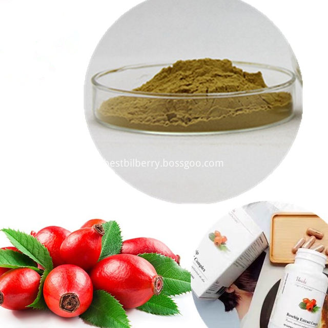 rose hip extract4