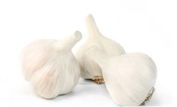Best round garlic bag