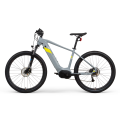 Bestes Elektrofahrrad -Mountainbike