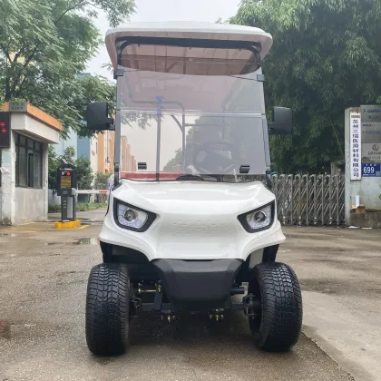 Electric Ambulance Vehicle